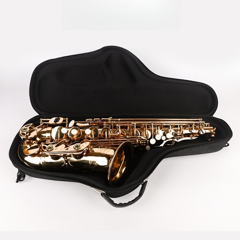 Oxford Cloth Alto Saxophone Ba - Musical Instrument Saxophone review and price
