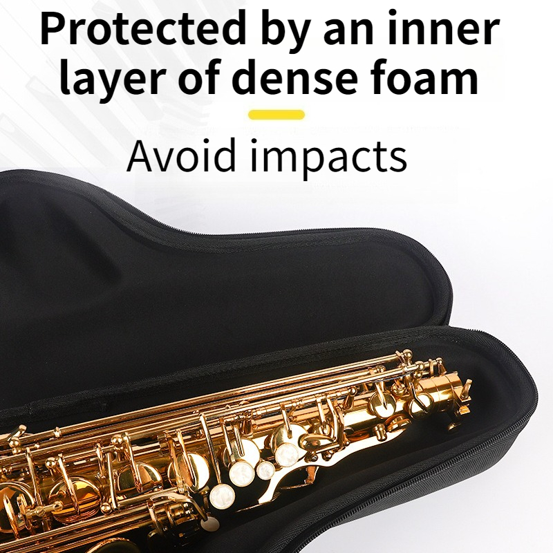 Oxford Cloth Alto Saxophone Ba - Musical Instrument Saxophone review and price