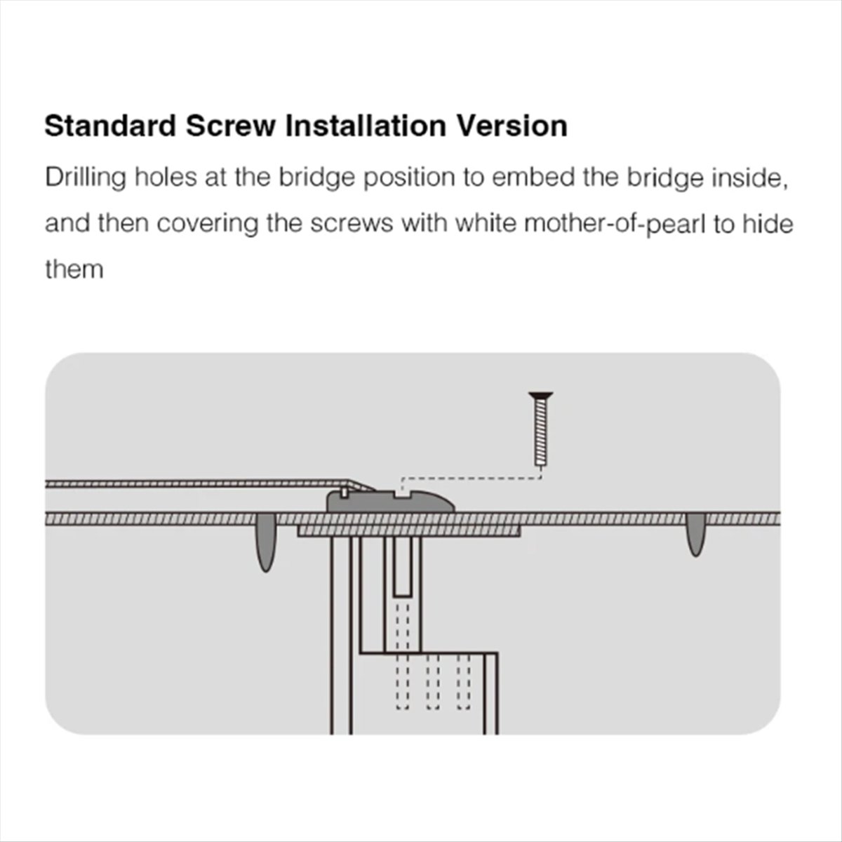 New Arrival Guitar Bridge Doct - Musical Instrument Repair review and price