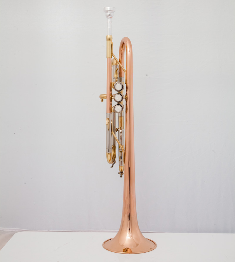Professional C Trumpet  Music  - Musical Instrument Fagot review and price